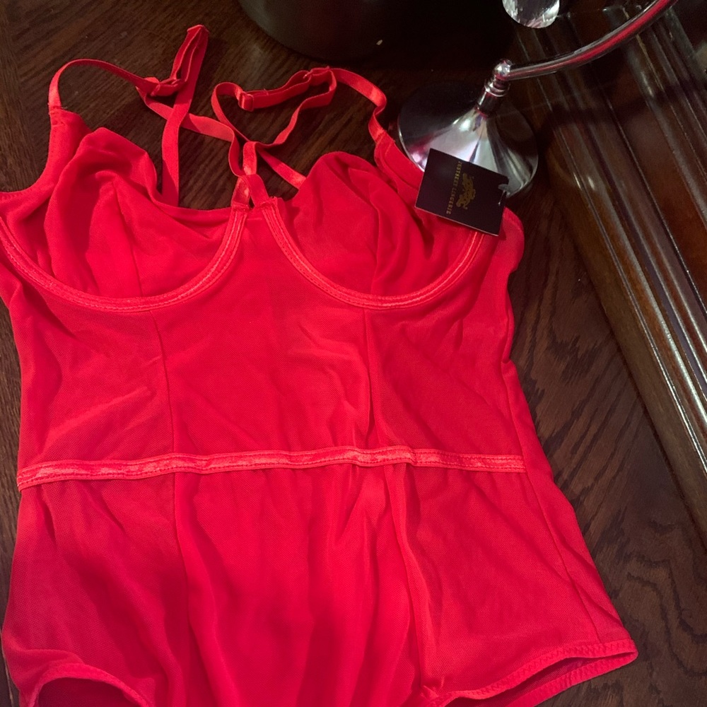 Fashion nova teddy